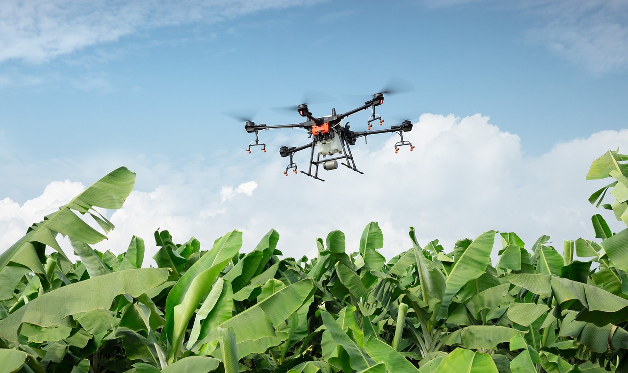 Indian Agriculture: Challenges and Opportunities in Drone Adoption